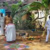 තෛපොංගල් උත්සවය 2019